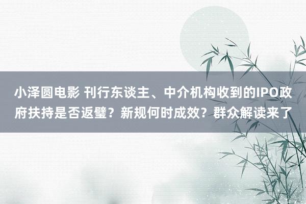 小泽圆电影 刊行东谈主、中介机构收到的IPO政府扶持是否返璧？新规何时成效？群众解读来了